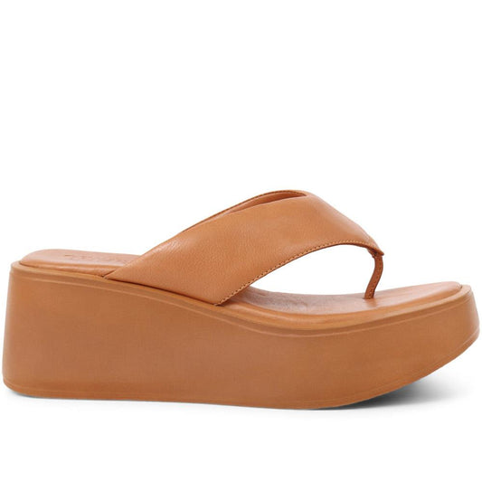 Tan