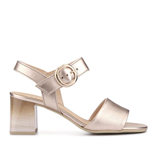 Metallic Beige